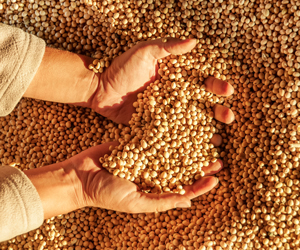 『戦略的イノベーション創造プログラム（SIP）第3期』プロジェクトサイト公開